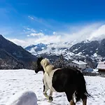 In Near