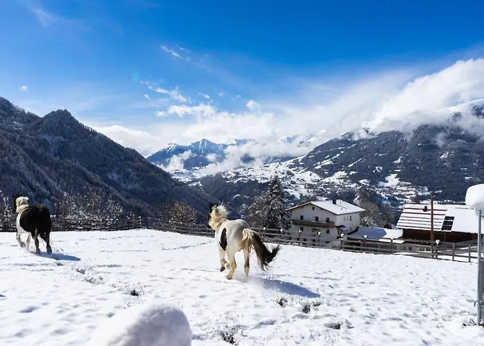 In Near * Kaunerberg